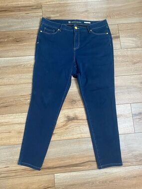Anne Klein Navy Skinny Pull-On Jeans